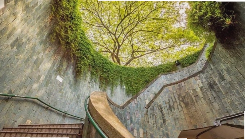 Giếng trời tại Công viên Fort Canning - điểm check-in nổi tiếng