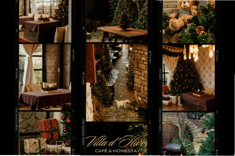 Góc đọc sách yên tĩnh trong quán cafe