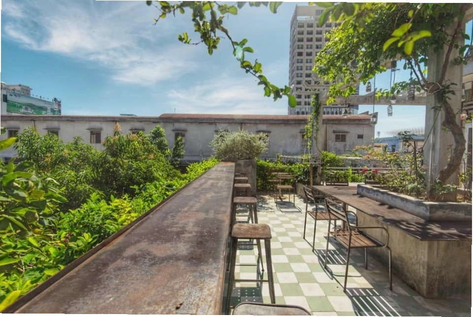 Góc ngồi thư giãn tại The 59 Cafe với cây xanh và ánh sáng tự nhiên