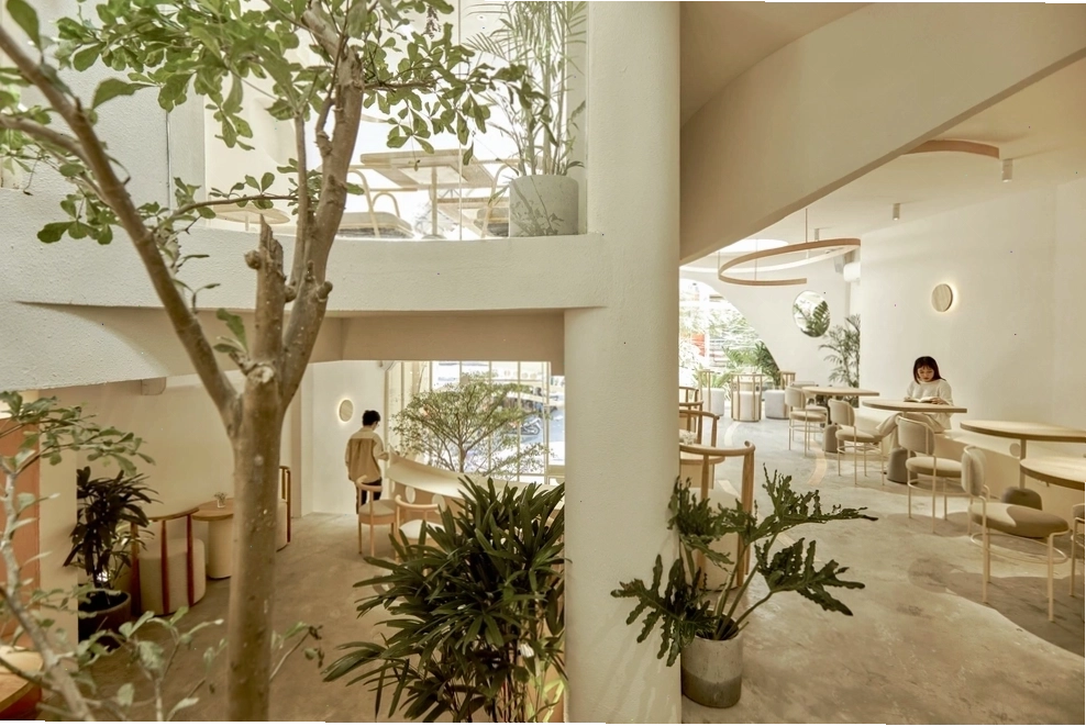 Góc ngồi trong quán cafe tổ chim, thích hợp cho việc thư giãn và trò chuyện