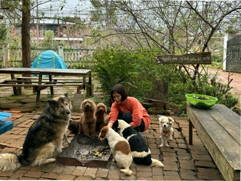 Góc nhìn thơ mộng tại Chino Homestay Măng Đen với rừng thông và hồ nước