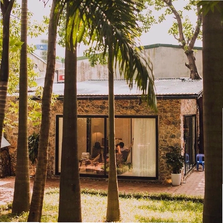 Góc trang trí cây xanh tạo điểm nhấn tại Hygge Homestay Đà Lạt