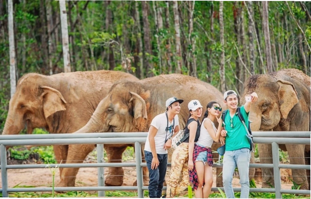 [Gói dịch vụ cao cấp] - Premium VIP Zoo Tour - Vinpearl Safari Phú Quốc