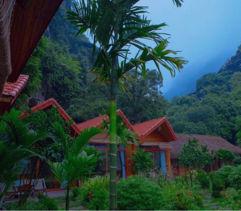Green Mountain Homestay với không gian xanh mát bao quanh bởi núi non và đồng lúa
