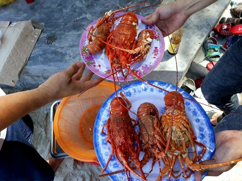 Hải sản tươi ngon tại biển Vịnh Hòa