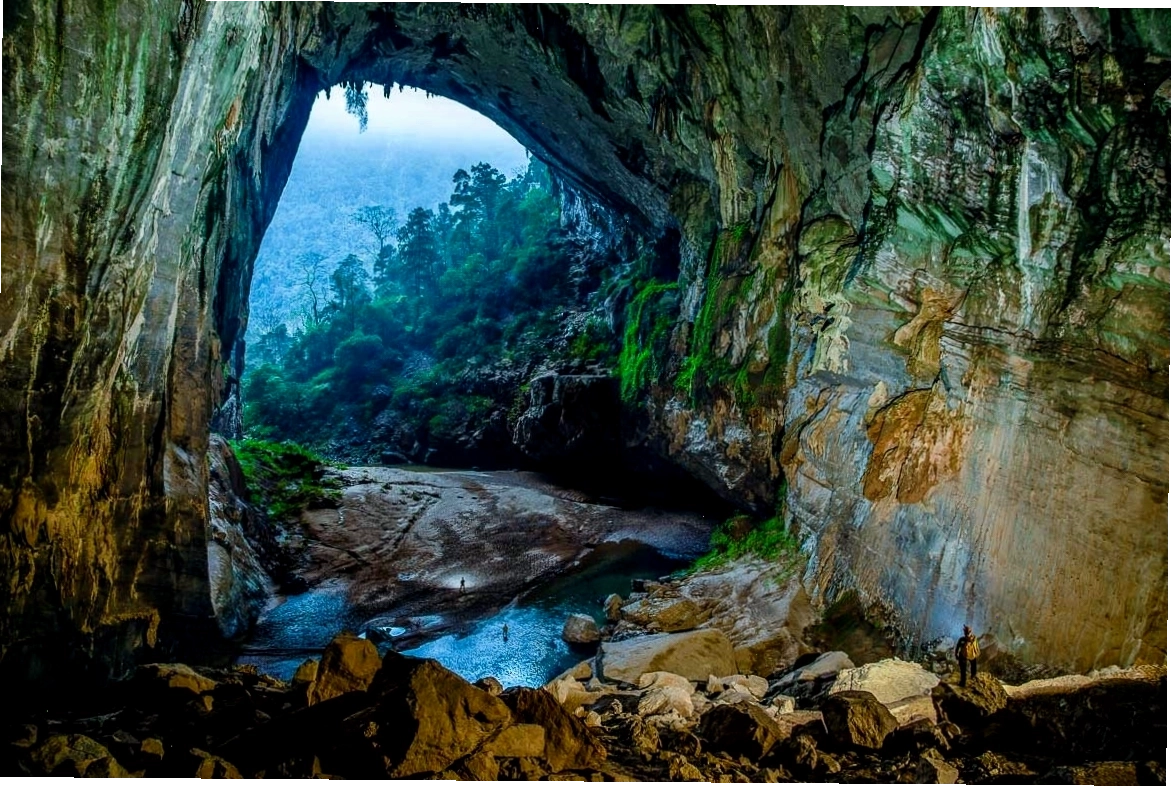 Hàng vạn chim én làm tổ trên trần Hang Én
