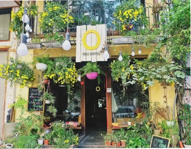 Hasu Cafe với không gian xanh, quán cafe đẹp ở bờ hồ Hoàn Kiếm