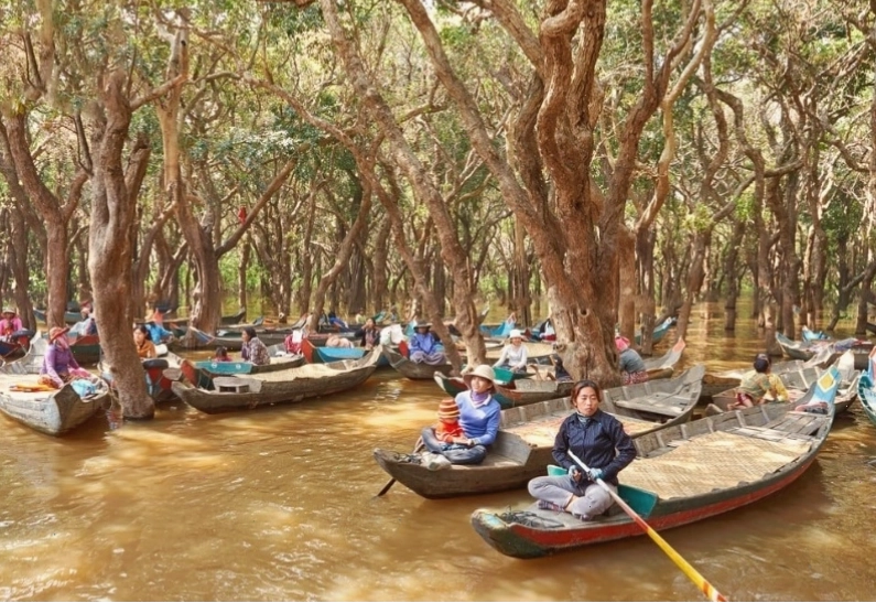 Hệ sinh thái rừng ngập mặn tại Biển Hồ Campuchia