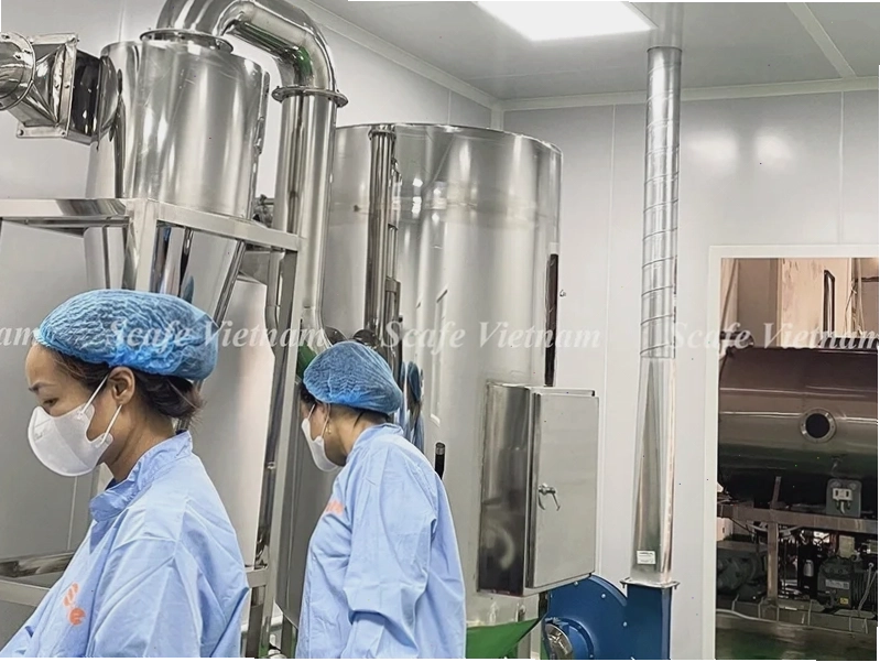 Hệ thống hồi hương hấp phụ chân không tại nhà máy Scafe