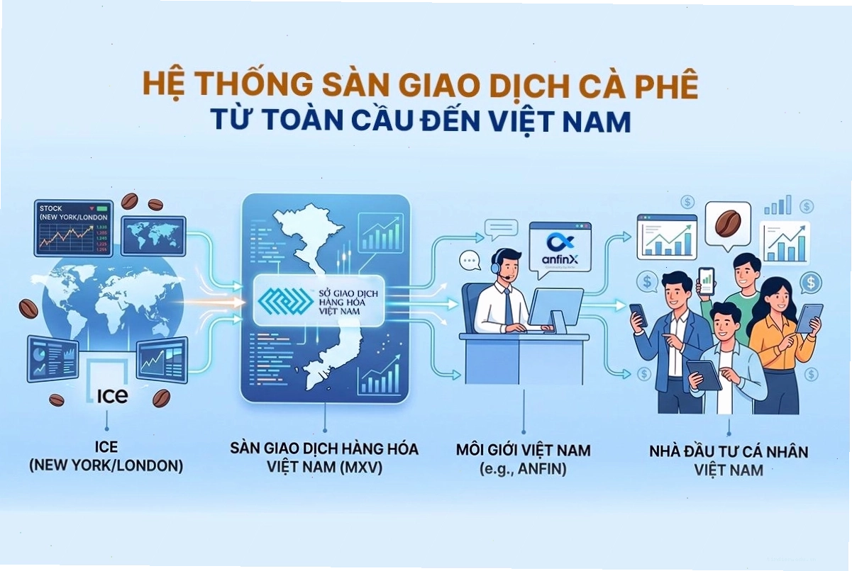 Hệ thống sàn giao dịch cà phê toàn cầu kết nối đến Việt Nam