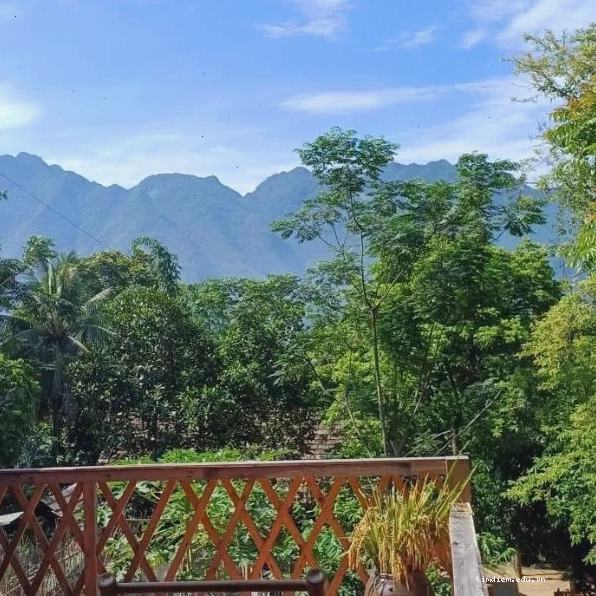 Hill House Mai Châu nhìn ra ruộng đồng xanh mướt