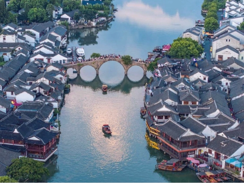 Hình ảnh cây cổ thụ trong một khung cảnh thiên nhiên thanh bình