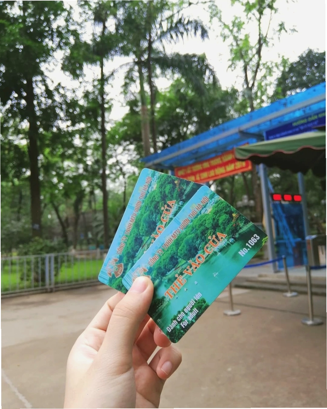 Hình ảnh khu vực hồ nước trong Công viên Thủ Lệ
