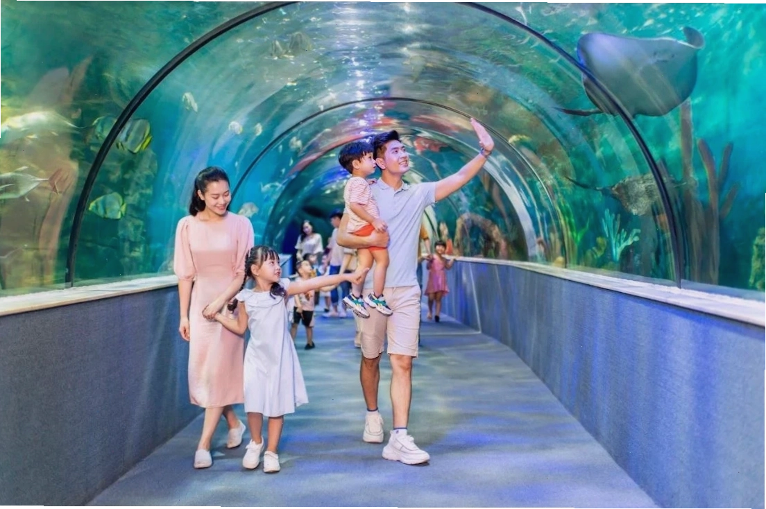 Hình ảnh lối đi bộ trong Công viên Thủ Lệ
