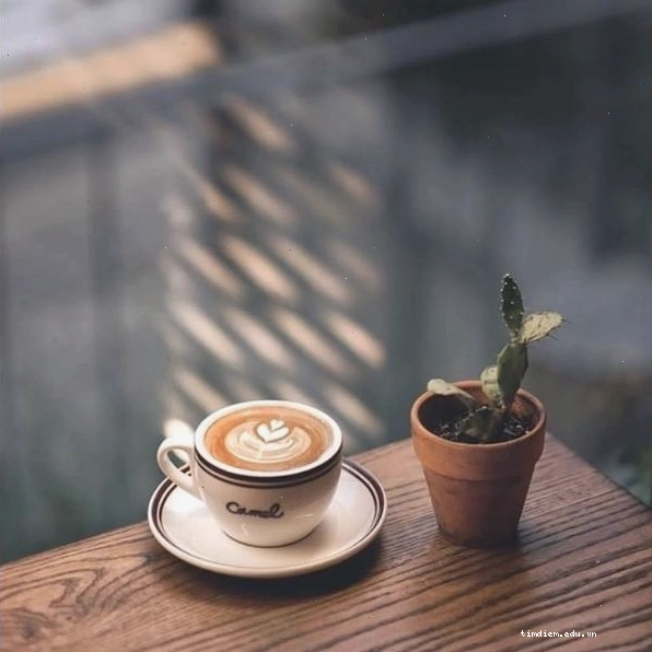Hình ảnh một nhóm bạn trẻ ngồi trò chuyện trong quán cà phê