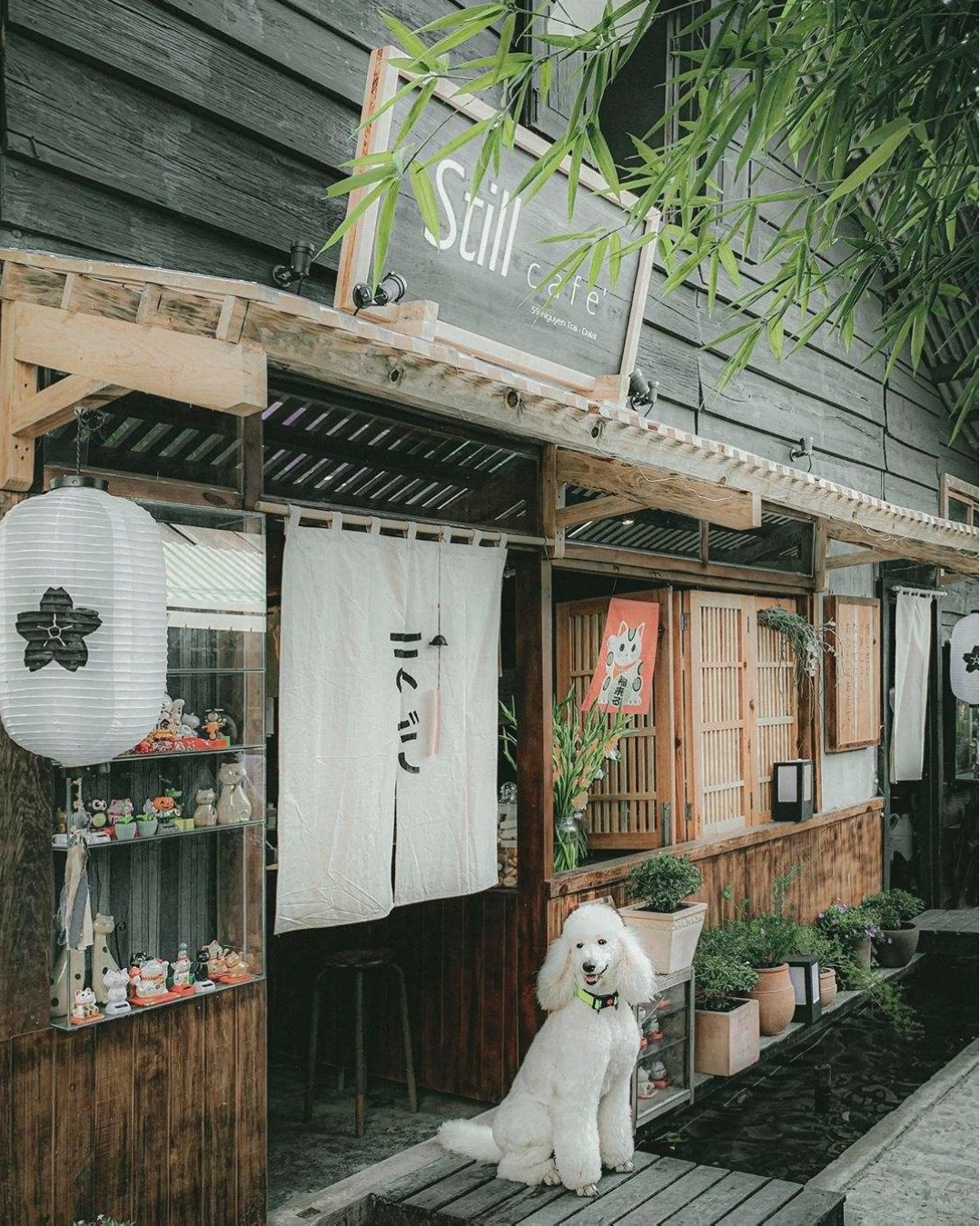 Hình ảnh Still Cafe Đà Lạt nhìn từ bên ngoài, nổi bật với kiến trúc gỗ mộc mạc