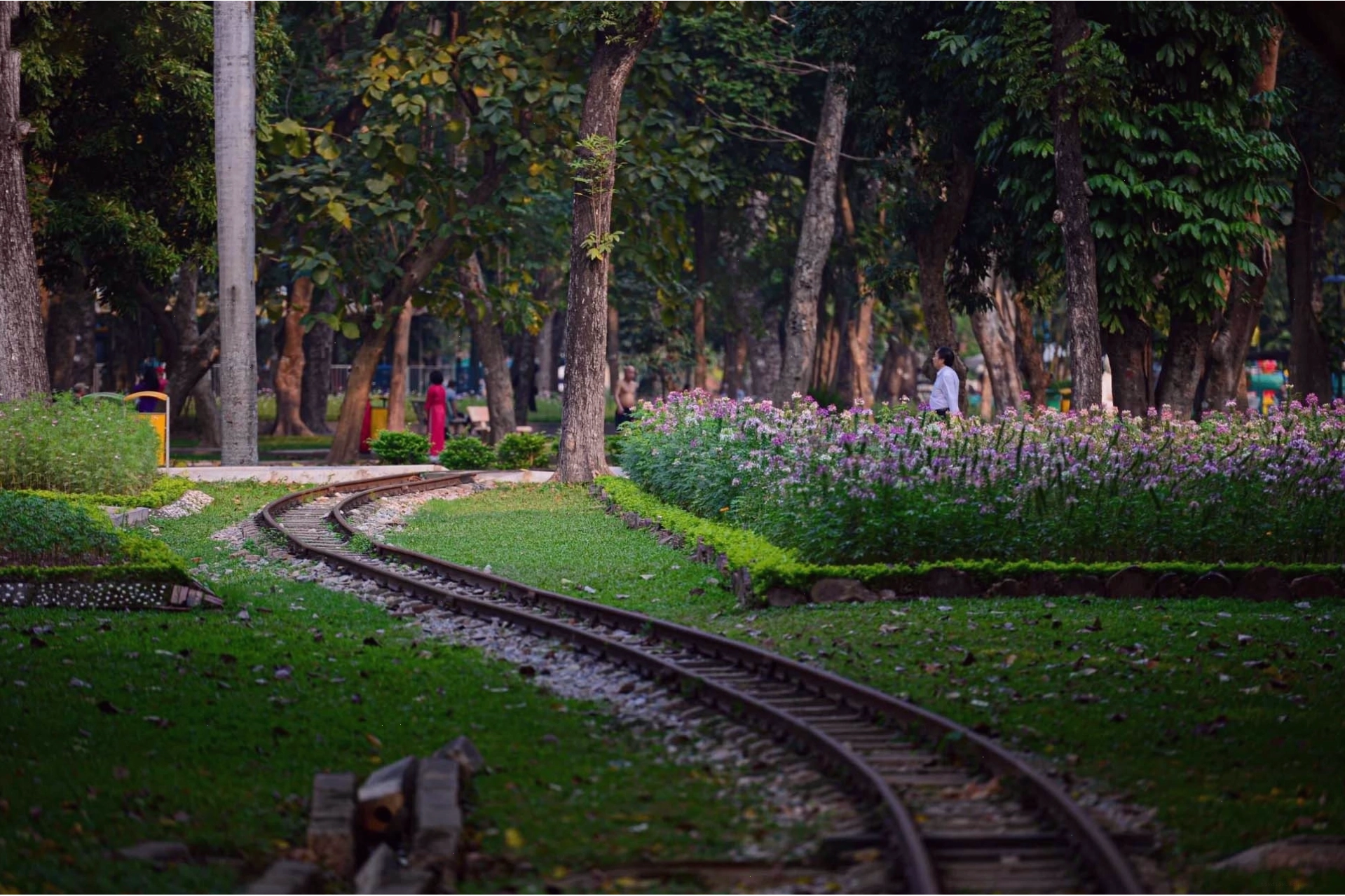Hồ Bán Nguyệt thơ mộng tại Công viên Thống Nhất Hà Nội
