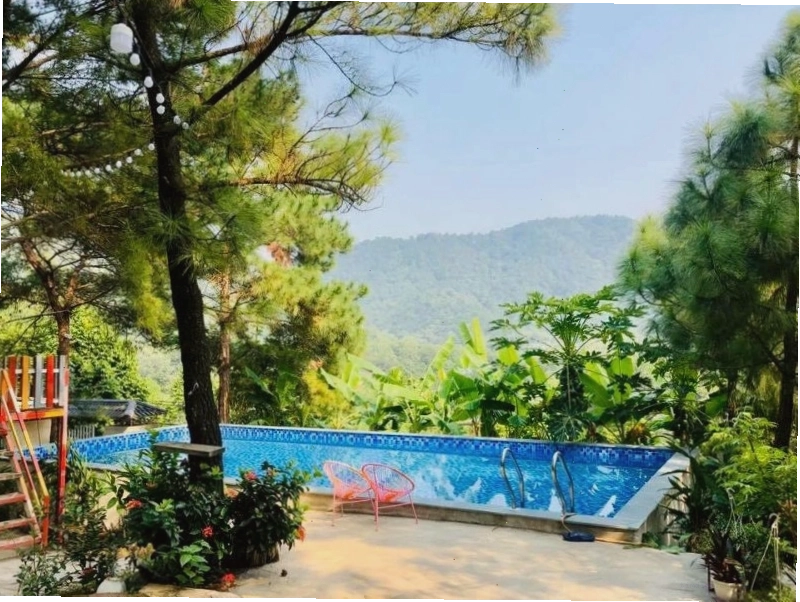 Hồ bơi tại The Moonlight Villa Sóc Sơn nằm giữa không gian rừng thông
