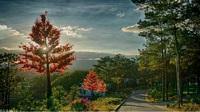 Hồ bơi trong nhà tại Terracotta Hotel & Resort Dalat