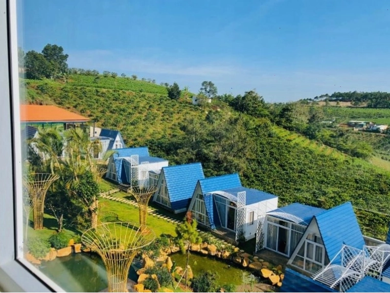Hồ cá Koi là điểm nhấn đặc biệt tại Homestay Tulip Garden Bảo Lộc
