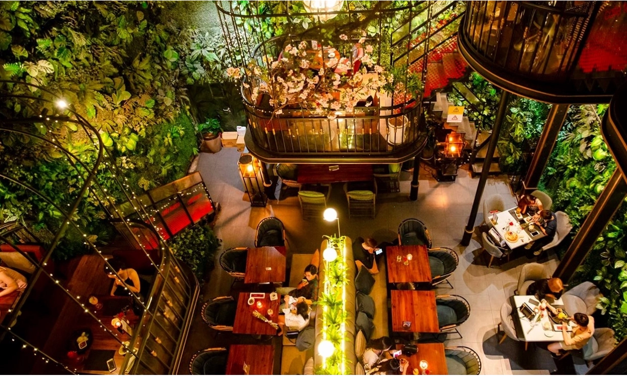Hồ sơ chi tiết về Terrace Cafe