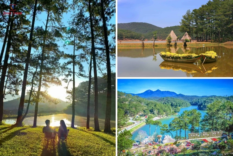 Hồ Suối Vàng Đà Lạt: Nét đẹp hoang sơ giữa lòng Tây Nguyên