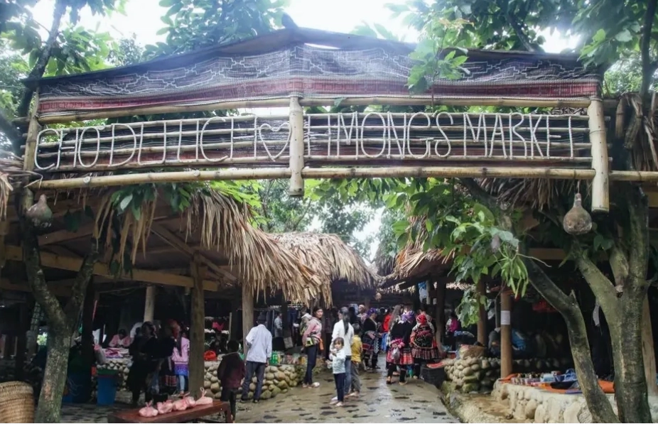 Hoa địa lan nở rộ hai bên đường vào bản Sin Suối Hồ