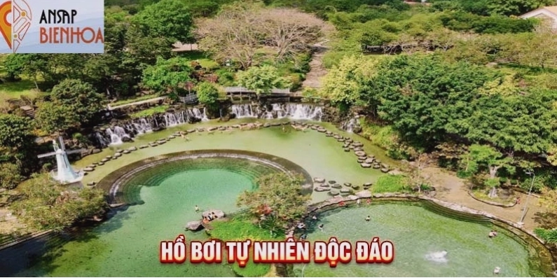 Hoạt động bơi lội và vui chơi dưới nước tại Suối Mơ Đồng Nai