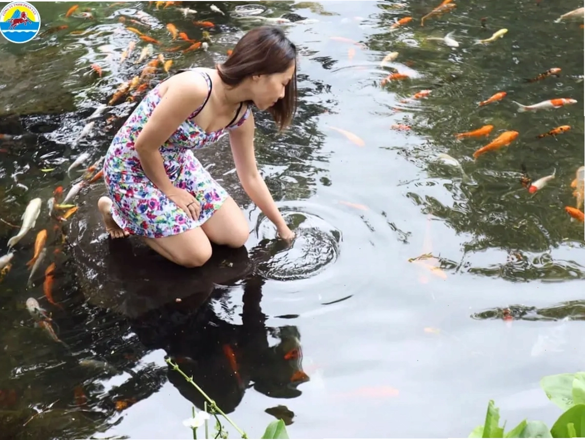 Hoạt động cắm trại qua đêm tại Suối Mơ Đồng Nai
