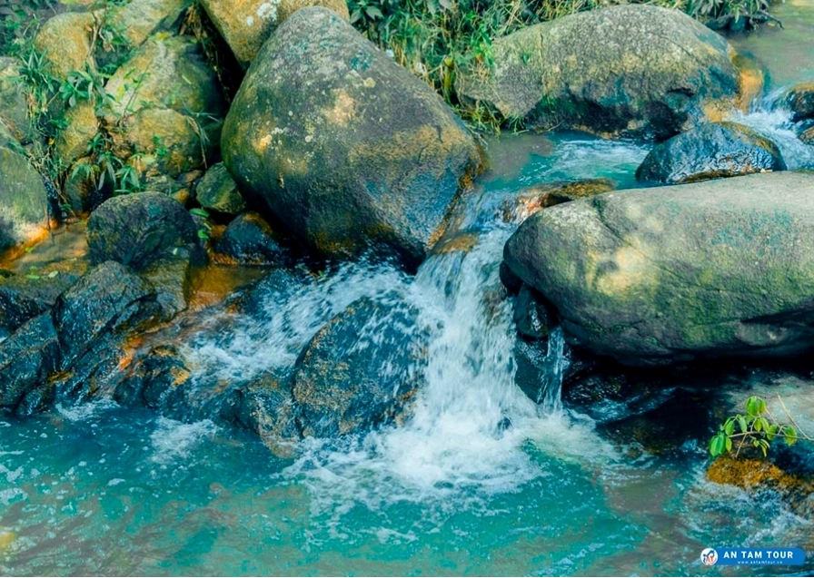 Hoạt động cắm trại tại Suối Tiên Núi Dinh, tận hưởng không khí trong lành