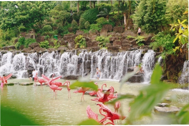 Hoạt động chèo SUP tại Suối Mơ