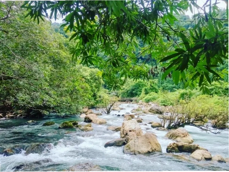 Hoạt động chèo thuyền kayak trên dòng Suối Moọc xanh mát