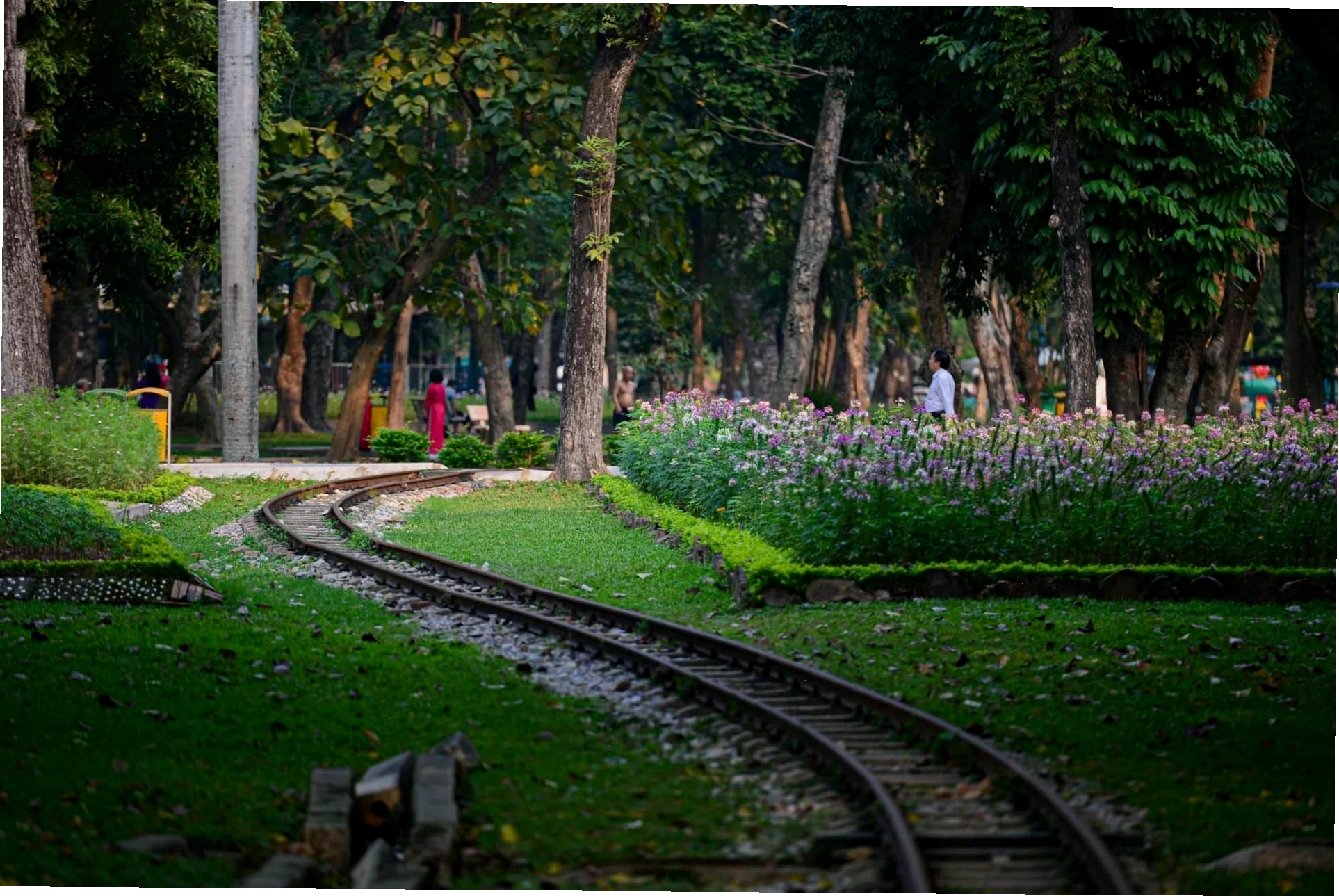 Hoạt động chèo thuyền trên hồ Bảy Mẫu