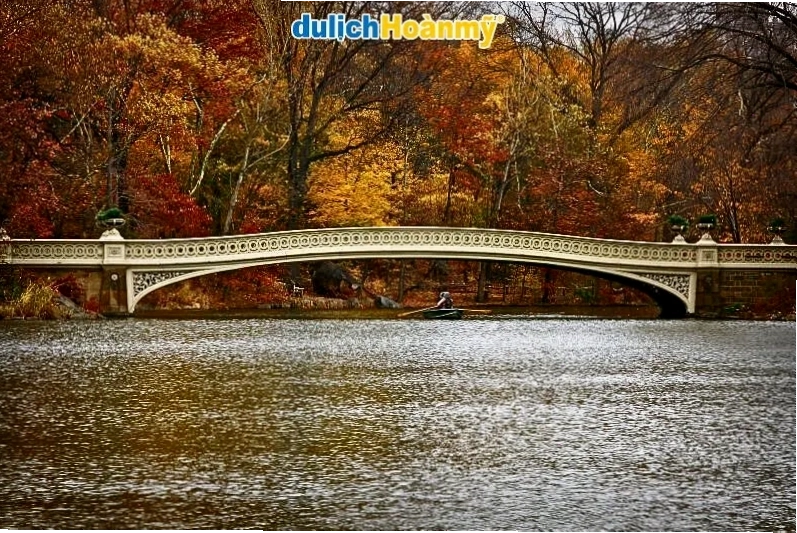 Hoạt động chèo thuyền và dạo bộ tại công viên Central Park