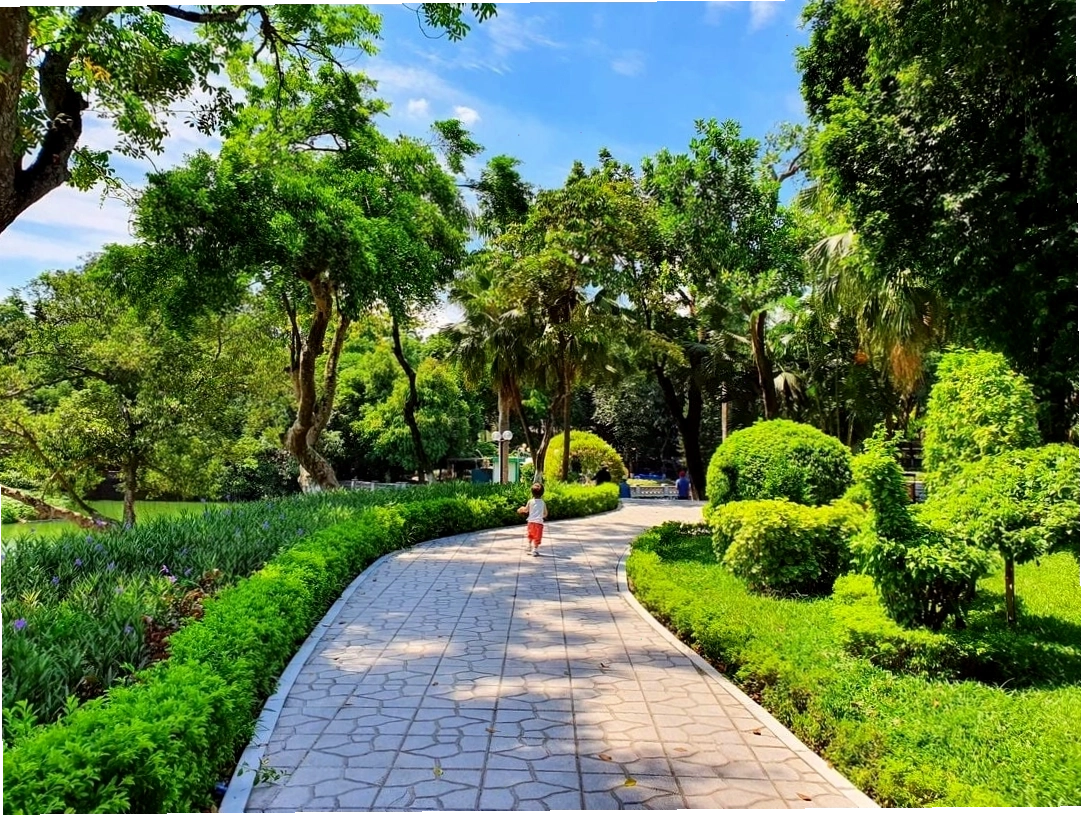 Hoạt động đạp vịt thư giãn trên hồ tại công viên Thủ Lệ