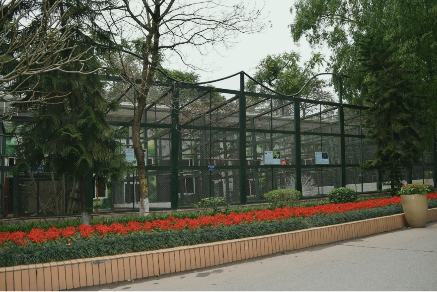 Hoạt động đạp vịt trên hồ tại Công Viên Thủ Lệ