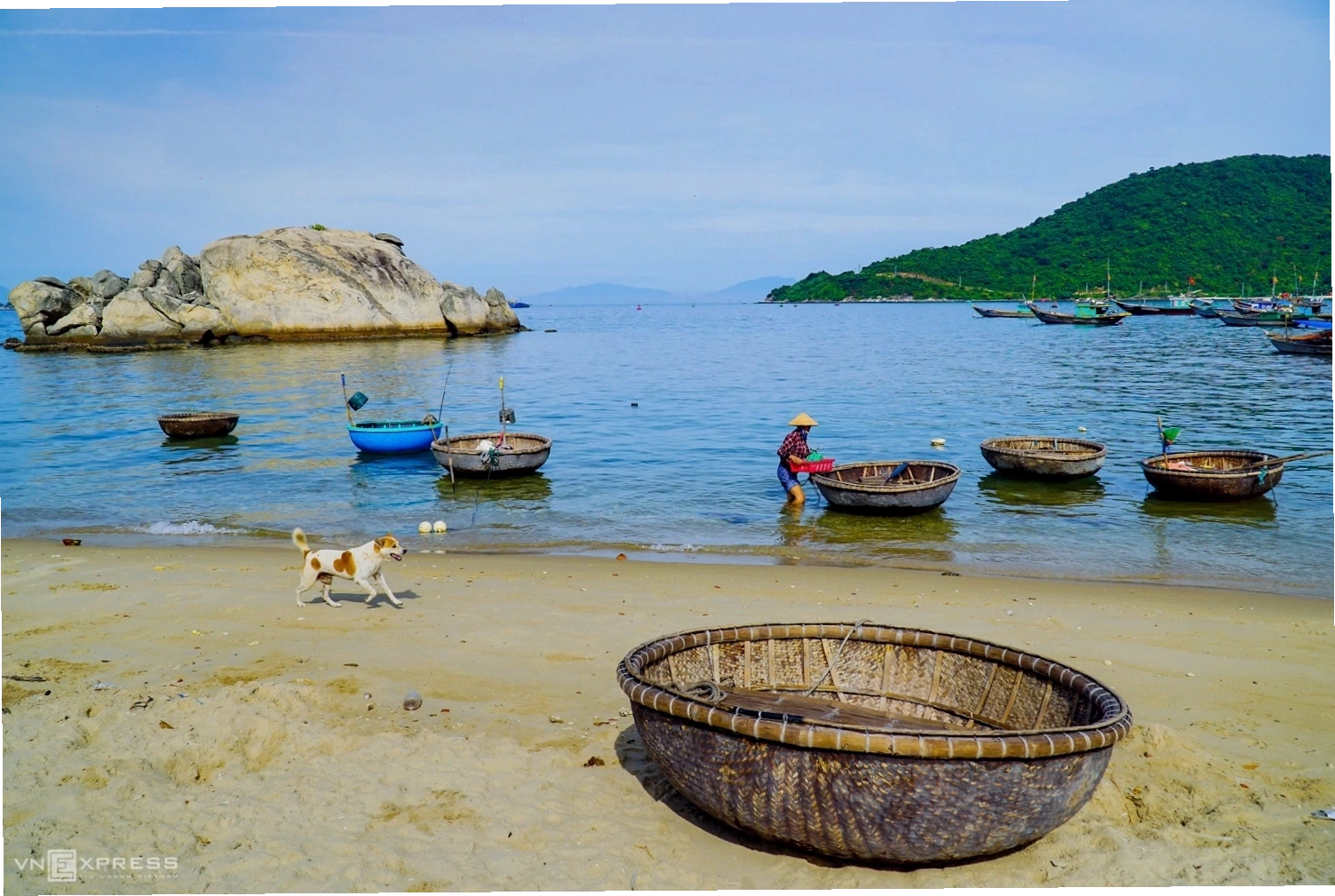 Hoạt động lặn biển ngắm san hô tại Cù Lao Chàm