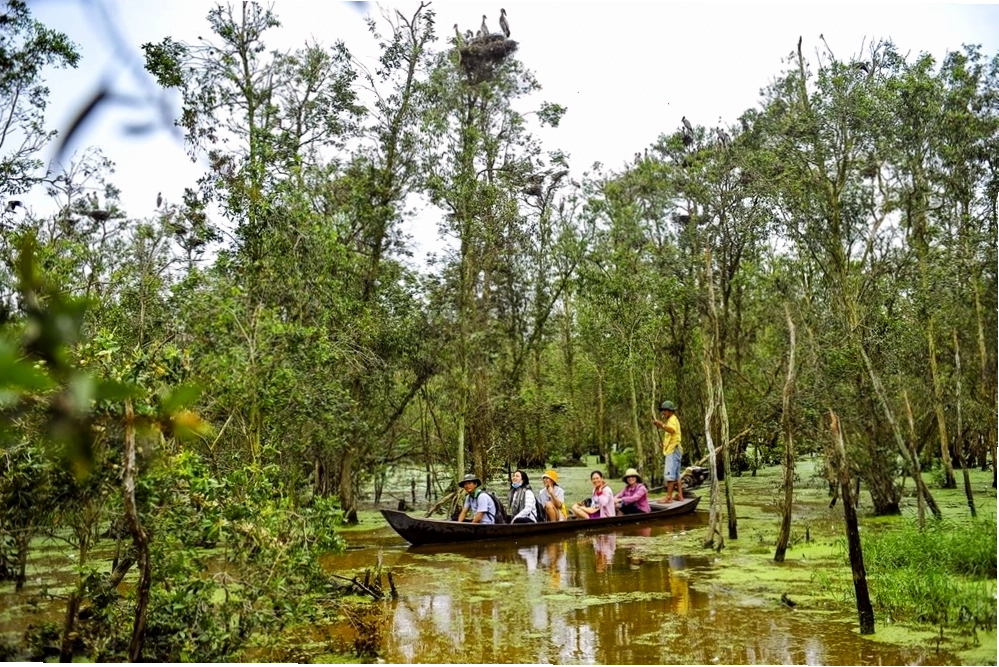 Hoạt động mua bán sôi nổi trên chợ nổi Cái Răng, Cần Thơ