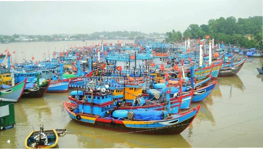 Hoạt động nhộn nhịp tại một bến cảng Phú Yên