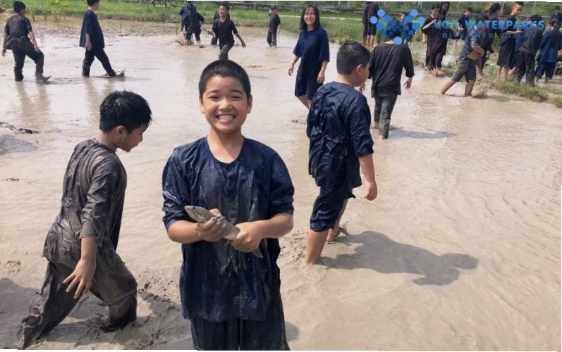 Hoạt động tát mương bắt cá