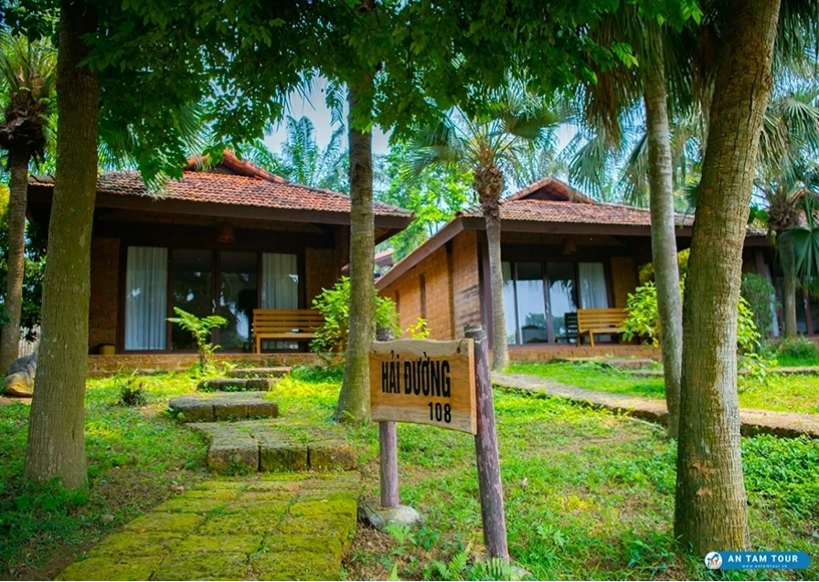 Hoạt động team building tại Thảo Viên Resort