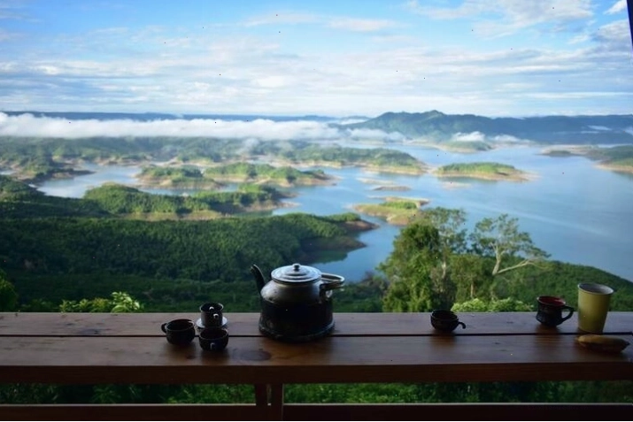 Hoạt động tham quan vườn nông nghiệp tại Freedom Green Village