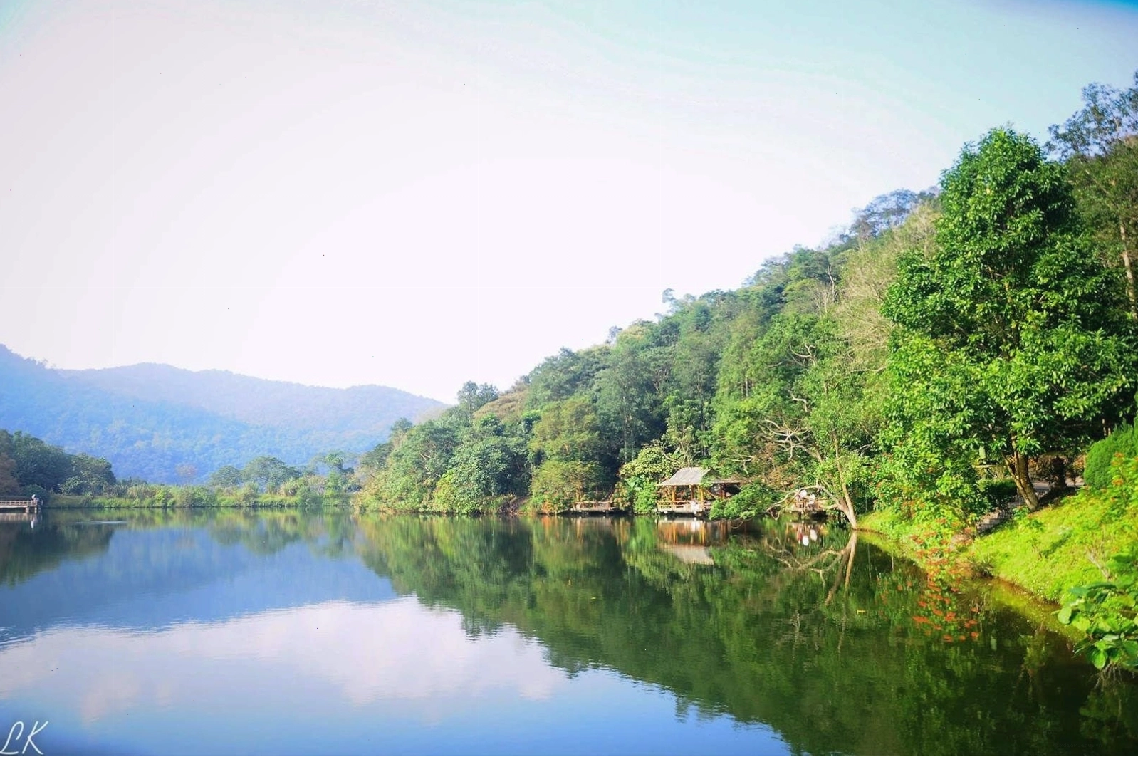 Hoạt động trekking nhẹ nhàng trong rừng