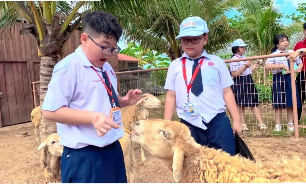 Hoạt động tương tác cùng động vật tại công viên