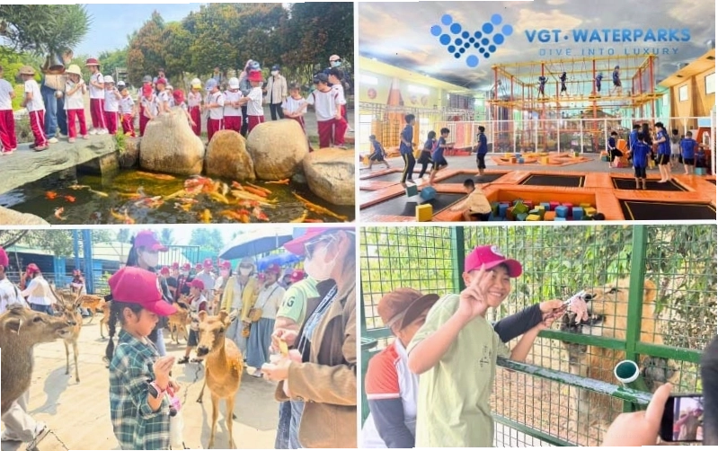 Hoạt động vui chơi dưới nước tại Mỹ Quỳnh Safari