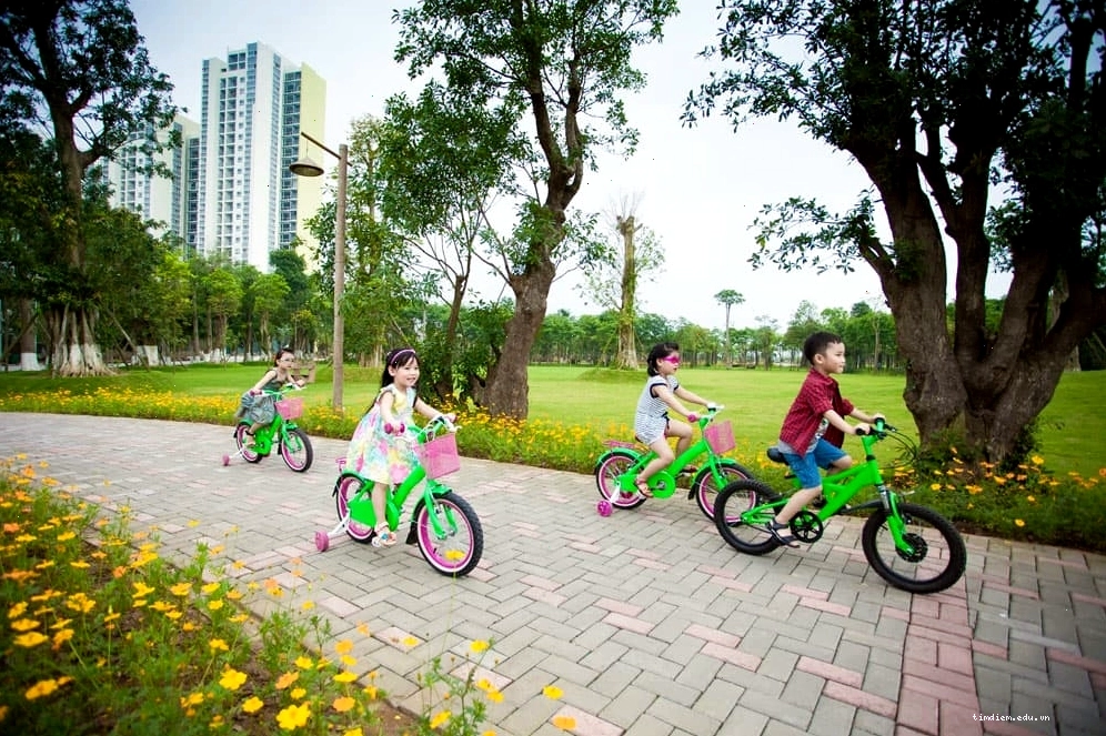 Hoạt động vui chơi tại công viên Ecopark