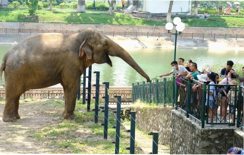 Hoạt động vui chơi tại Công viên Thủ Lệ, Hà Nội