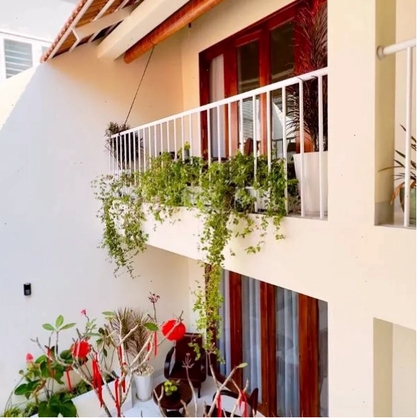 Homestay 50b với không gian thoáng đãng và nhiều cây xanh