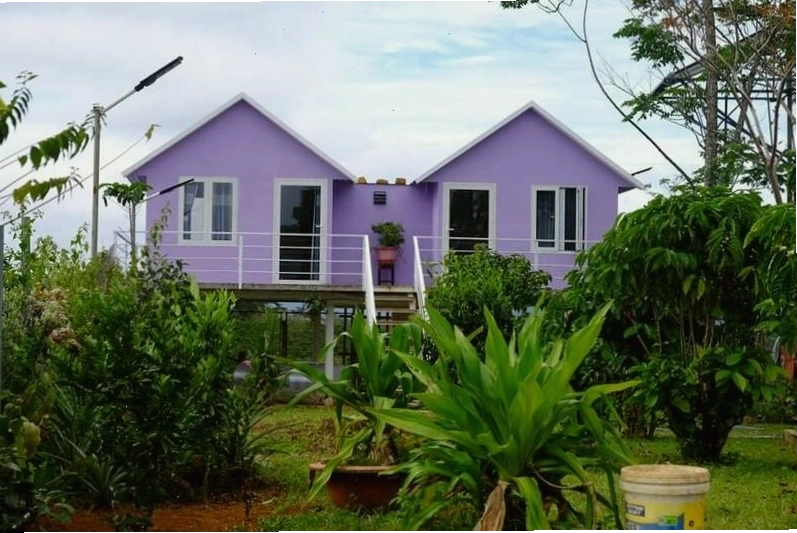 Homestay Dambri Bảo Lộc với tầm nhìn ra khu vườn xanh mướt