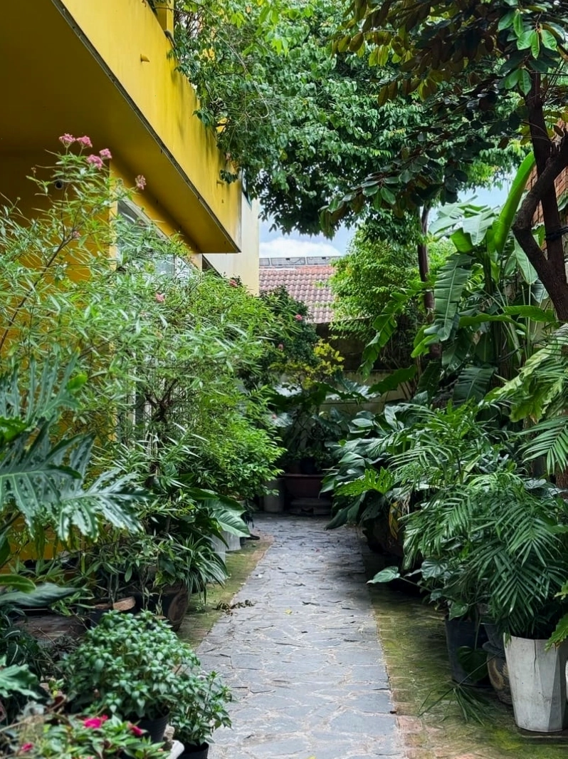 Homestay in Tay Ninh với không gian vườn xanh mát, yên bình